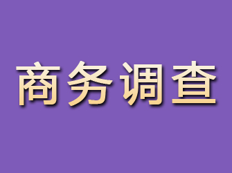 依安商务调查